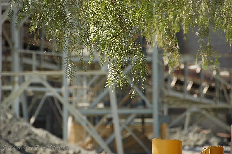 DSC_5597.JPG