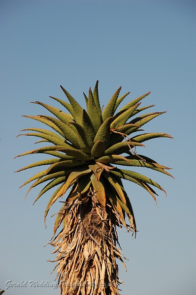 DSC_5860.JPG