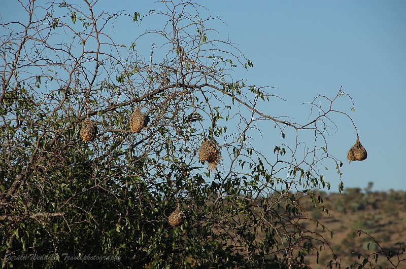 DSC_5878.JPG