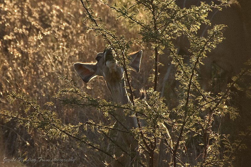 DSC_5908.jpg
