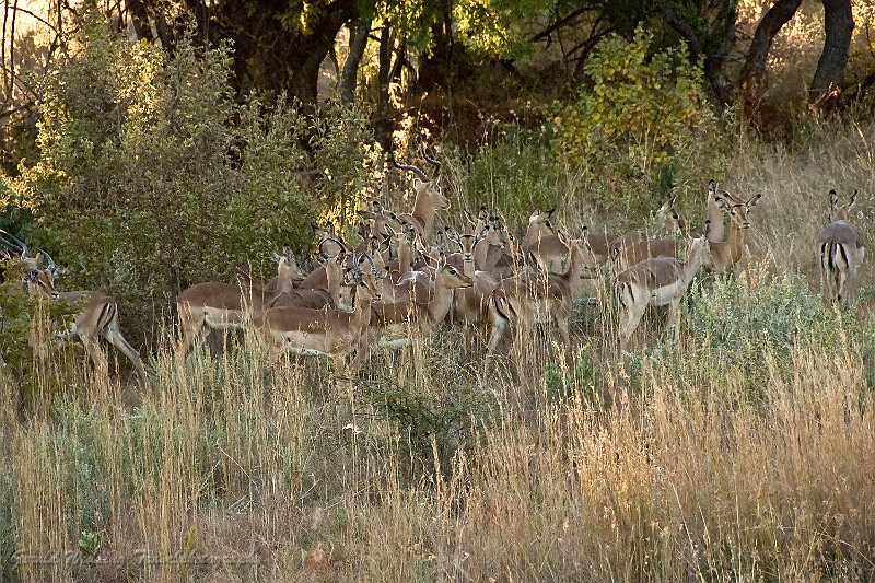 DSC_5935.jpg