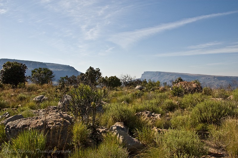 DSC_5979.jpg