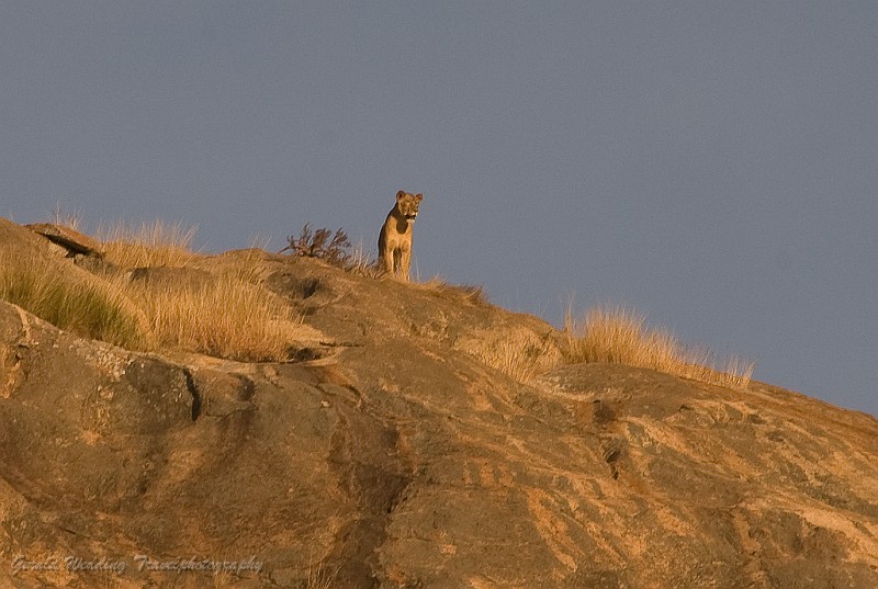 DSC_6251-1.jpg