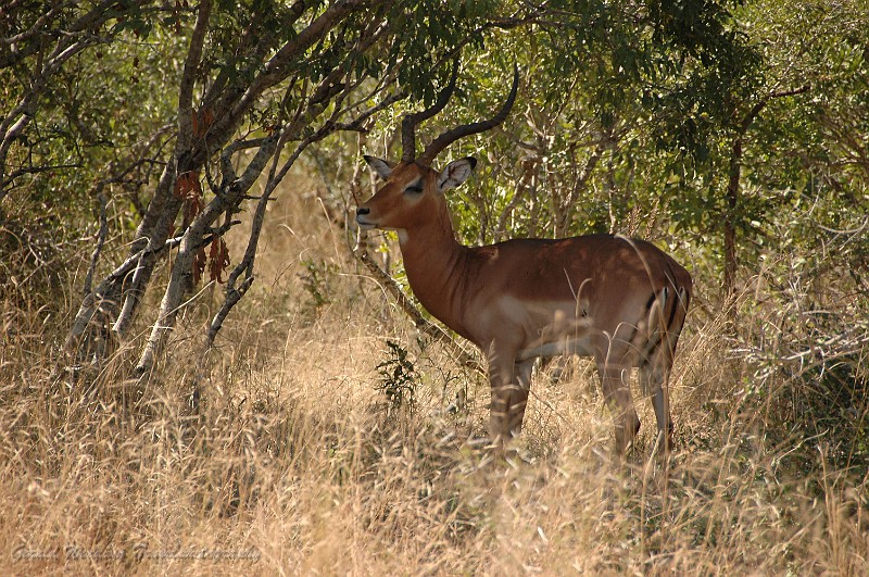 DSC_6371.JPG