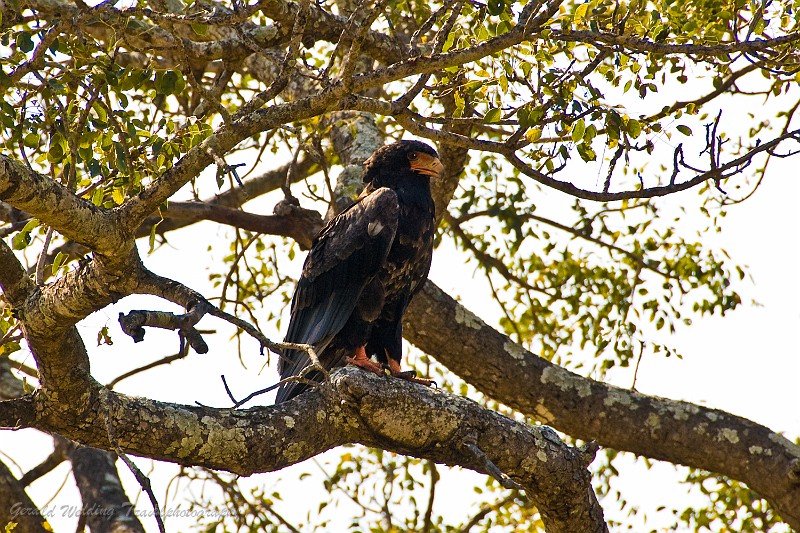 DSC_6443.jpg