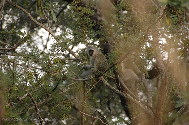 DSC_6462.JPG