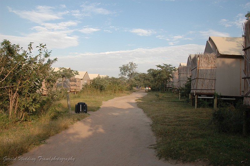 DSC_6475.JPG