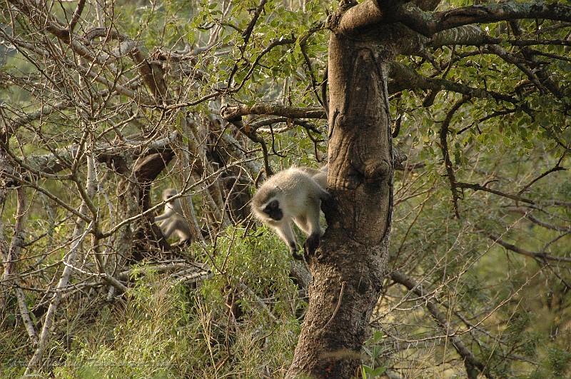 DSC_6779.JPG