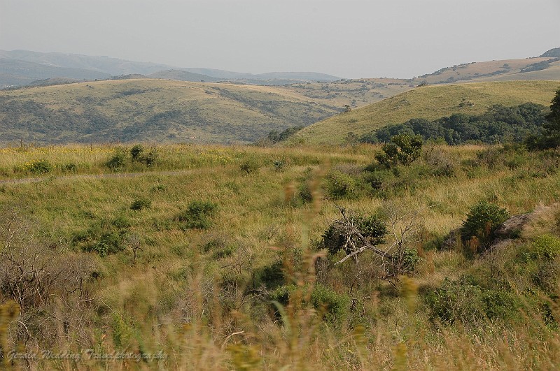DSC_6844.JPG