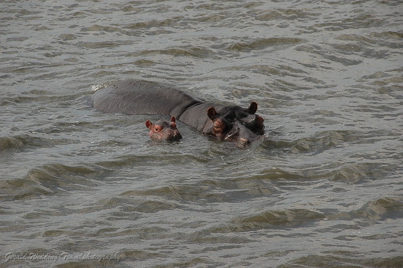 DSC_7282.JPG