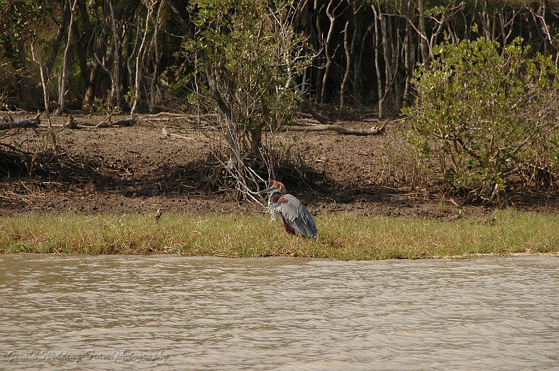 DSC_7298.JPG