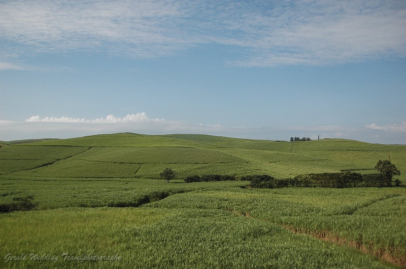 DSC_7445.JPG