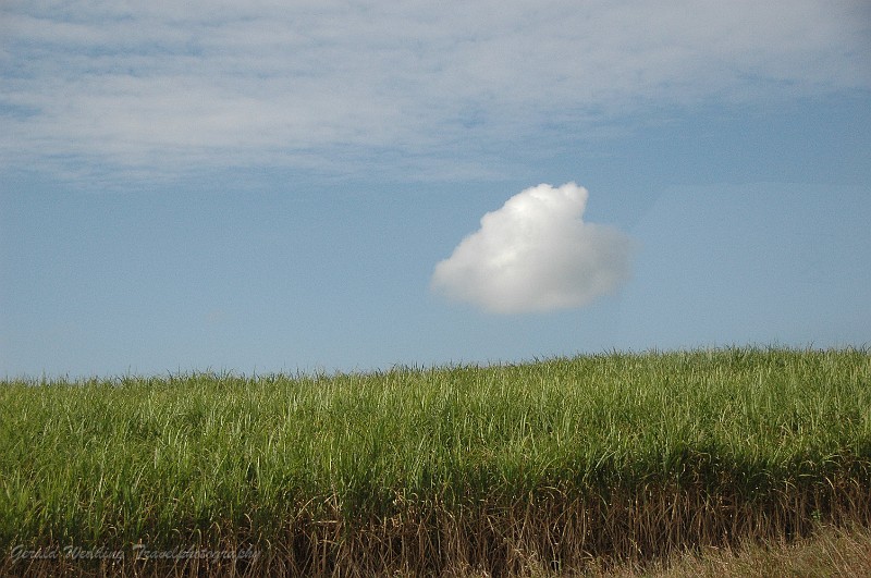 DSC_7458.JPG