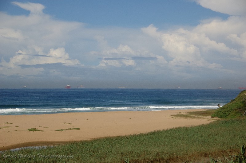 DSC_7502a.jpg