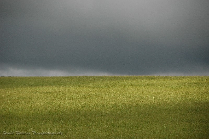 DSC_7800.JPG