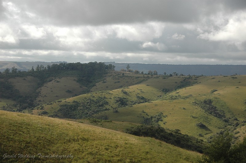 DSC_7826.JPG