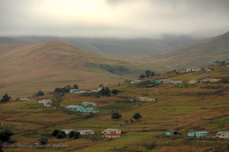 DSC_7848.jpg