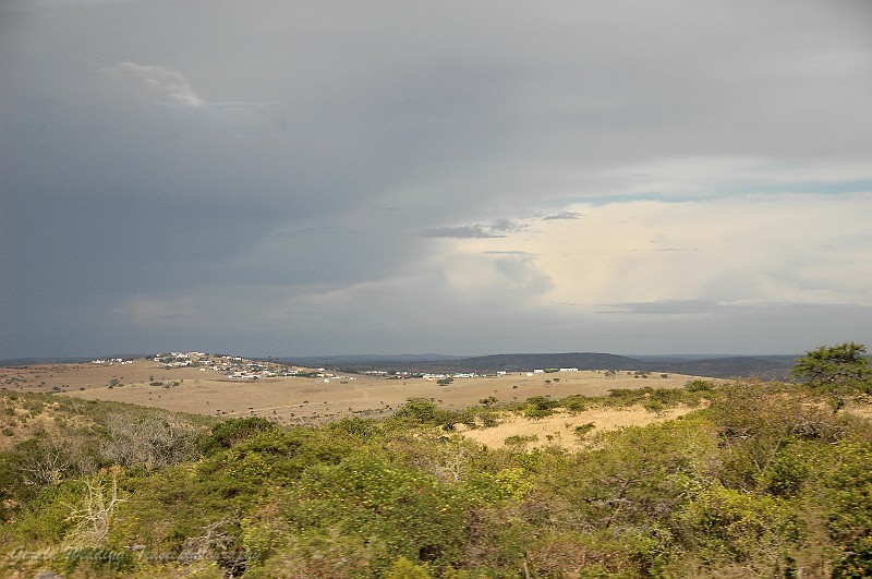 DSC_8023a.jpg