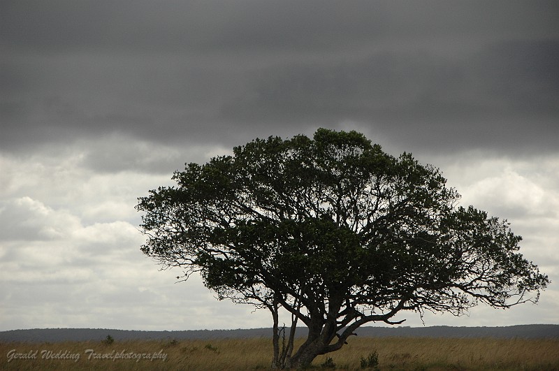 DSC_8086.JPG
