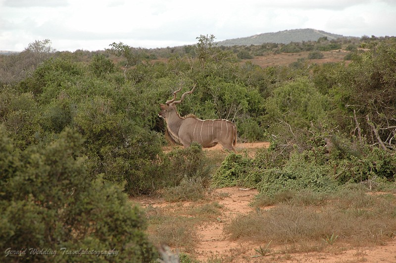 DSC_8101.JPG