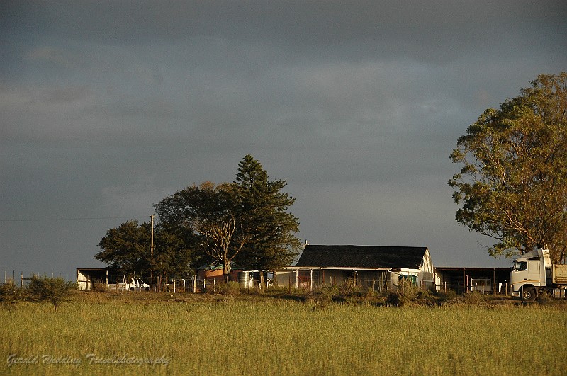 DSC_8272.JPG