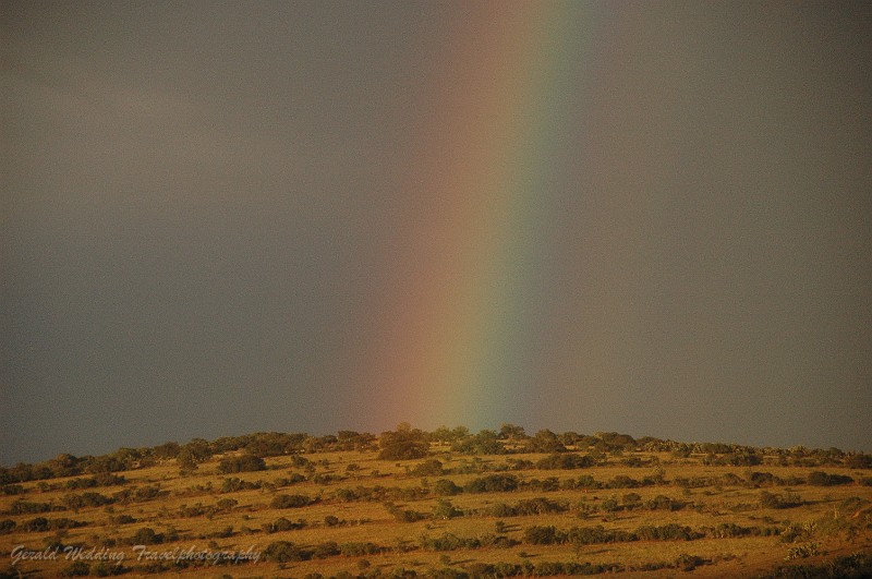 DSC_8284.JPG
