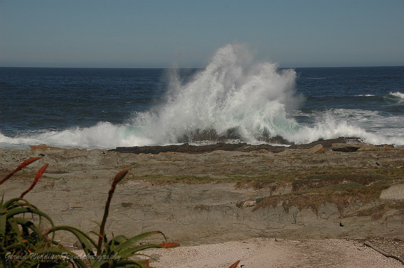 DSC_8824.JPG