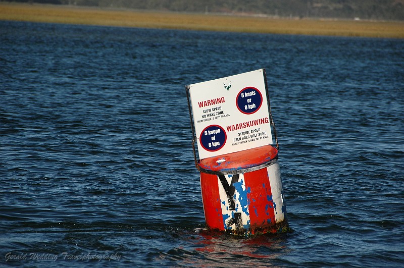 DSC_8877.JPG