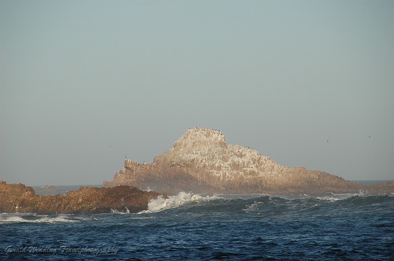 DSC_8959.JPG