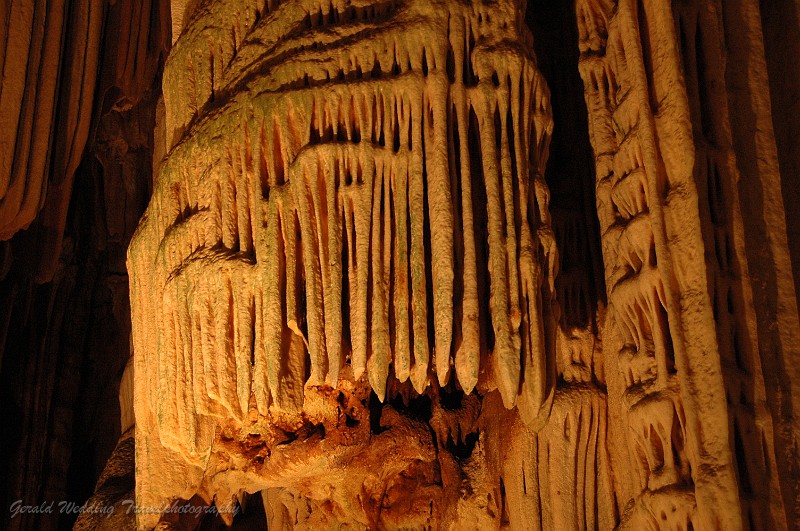 DSC_9146.JPG