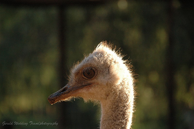 DSC_9271.JPG
