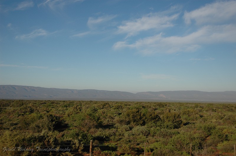 DSC_9289.JPG
