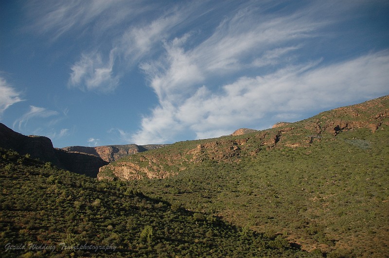 DSC_9294.JPG