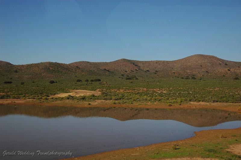 DSC_9334.JPG