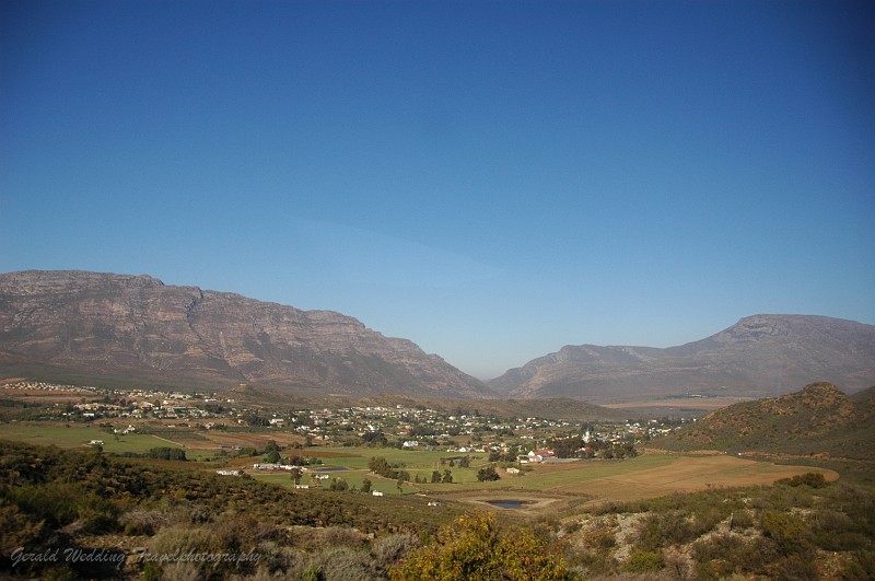 DSC_9358.JPG