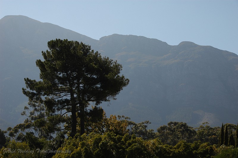 DSC_9532.JPG
