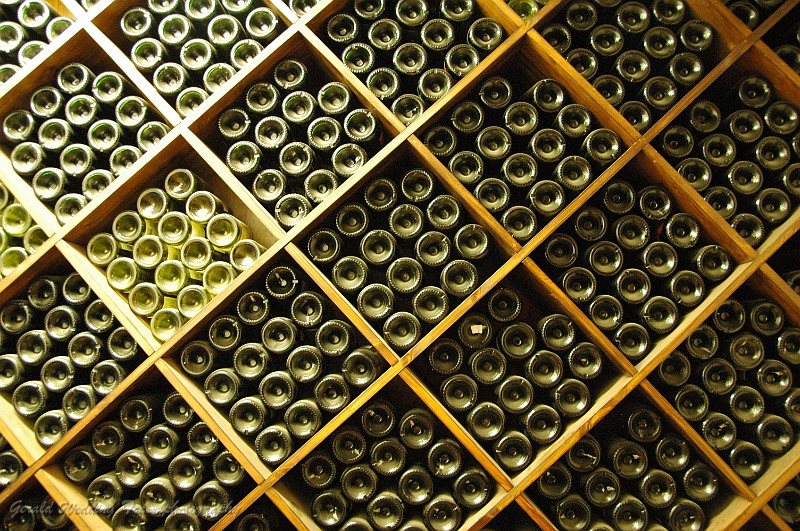 DSC_9600.JPG