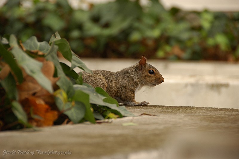 DSC_9649.JPG