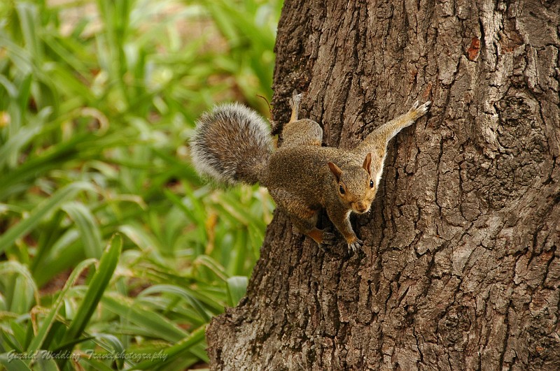 DSC_9657.JPG