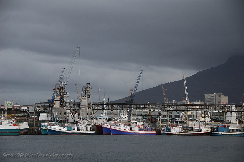 DSC_9823.JPG