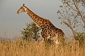 DSC_6249