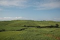 DSC_7445