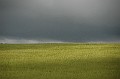 DSC_7800