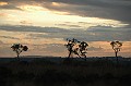 DSC_7989