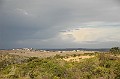 DSC_8023a