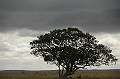 DSC_8086