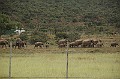DSC_8097